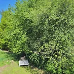 Meingaestehaus Im Fraenkischen Seenland *